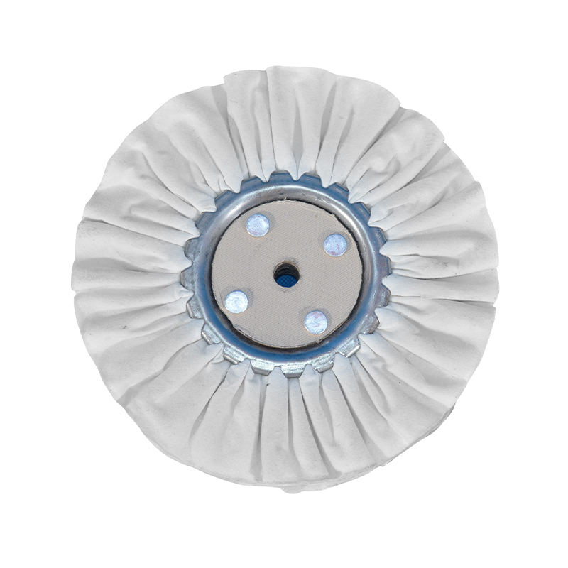 Alba Mollis Cloth rota enim Diver